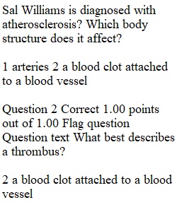 Chapter 5 Test